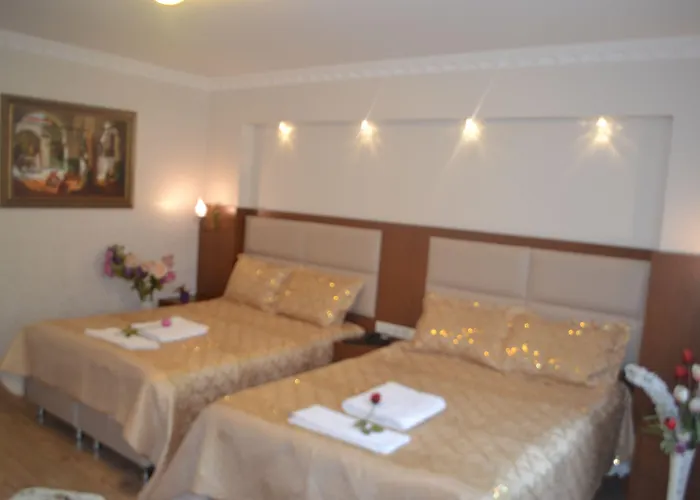 Taksim Peradise Hotel 3* Estambul
