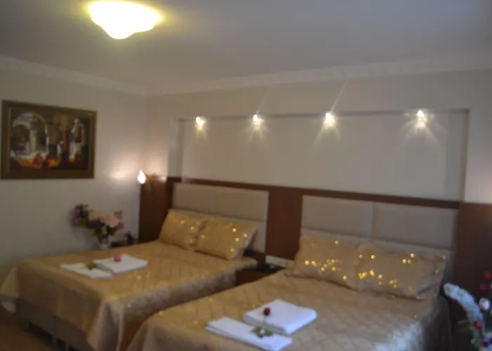 ペラダイス ホテル ホテル 3*